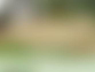 Fencing Installations in Verona, NJ