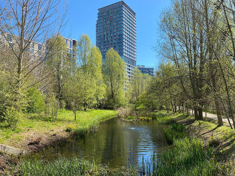 Social Media Marketing in the AI Era: A Non-Negotiable for East London SMEs