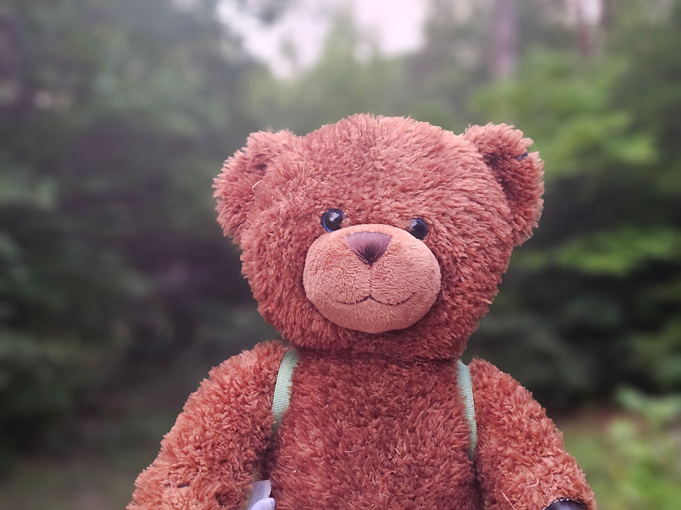 Theodore