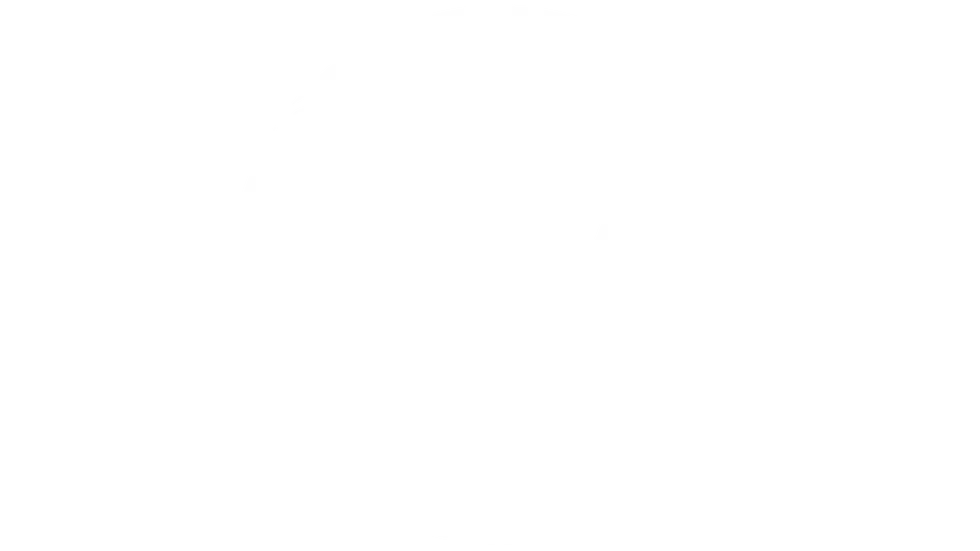 PW-LOGO-STENCIL-WHITE[4K].webp