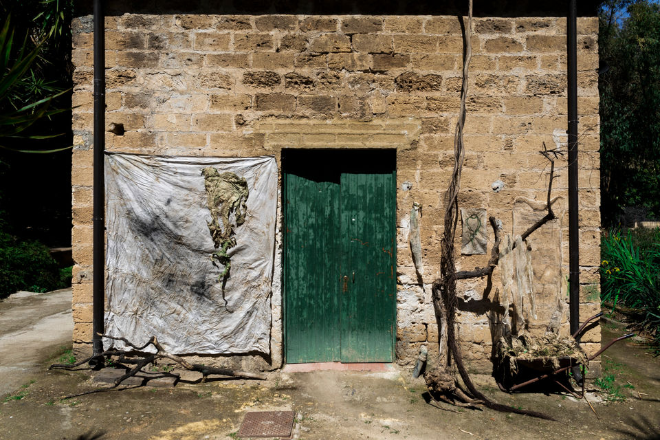 #tizianacerarosco#italianartist#contempoarryart#artresidency#erbariodellemersione#erbary#plants#ortobotanicodipalermo#performanceart#videoart#installationart#alghe#seaweed