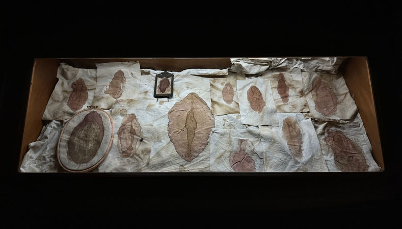 #tizianacerarosco #anthurium #ortobotanicopalermo
#mostra #residenceartistique #artresidency #plants #trees #flowers #alghe #melograno #pommegranate #persefone #gold #ade #sheets #heart #hearth #erbario #stone #monotype #artcurator #artcollector #contemporaryart #femaleartist