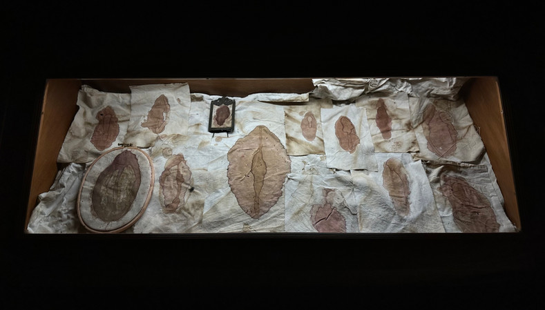 #tizianacerarosco #anthurium #ortobotanicopalermo
#mostra #residenceartistique #artresidency #plants #trees #flowers #alghe #melograno #pommegranate #persefone #gold #ade #sheets #heart #hearth #erbario #stone #monotype #artcurator #artcollector #contemporaryart #femaleartist