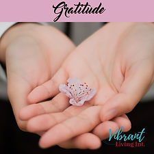 Gratitude Meditation Track Cover (VLI) 2.jpg