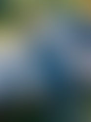 Top Qualities to Look for in a Reliable Roofing Company