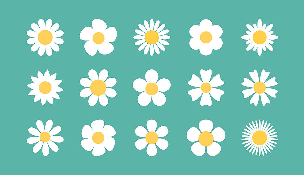 Flower Designs - How I Made $700 Selling Vector Designs on Vecteezy
