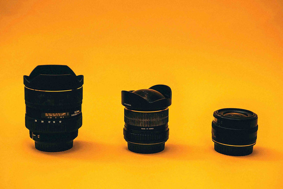 Types Of Stock Photography License - Stock Photography And Footage Selling: A Complete Guide