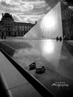 Tour de Photography