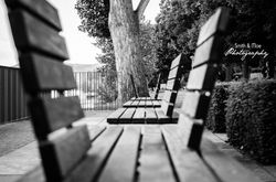 Tour de Photography