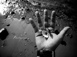 Tour de Photography