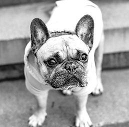 Hazel Picture_edited.jpg