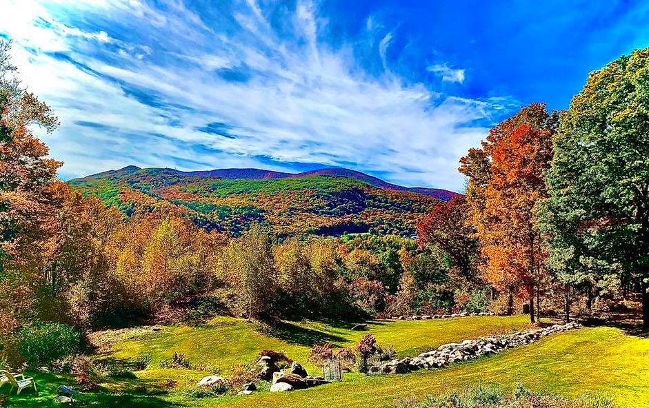 Netherwood%20Autumn%202_edited.jpg