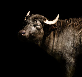 Südafrika - Kapstadt - Reisefotografie  018.jpg