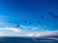 Sylt - Nordfriesland - Landschaftsfotografie  006.jpg