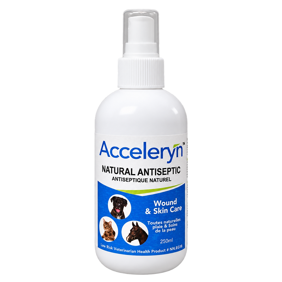 Acceleryn - 250 mL bottle
