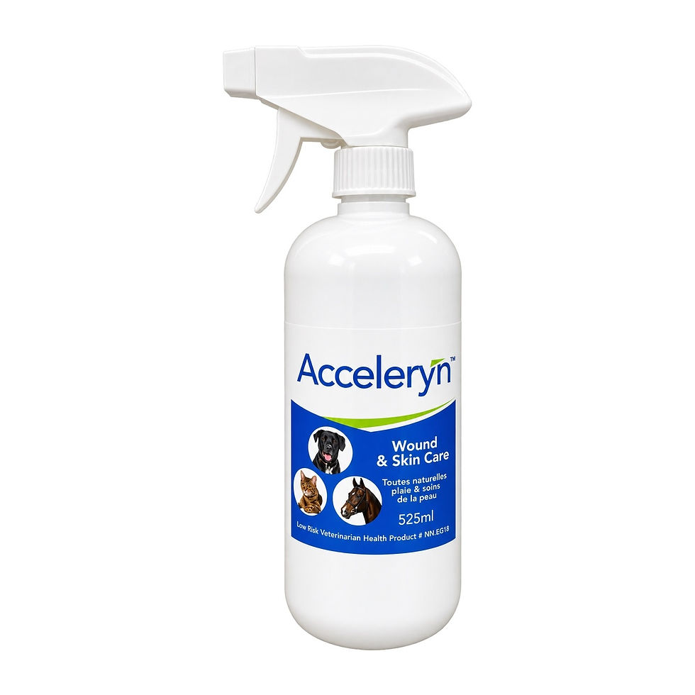 Acceleryn Wound & Skin Care