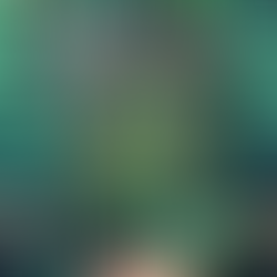 Into the Mist Review