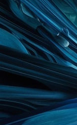 FONDOS LIV QUEEN (6)_edited.jpg