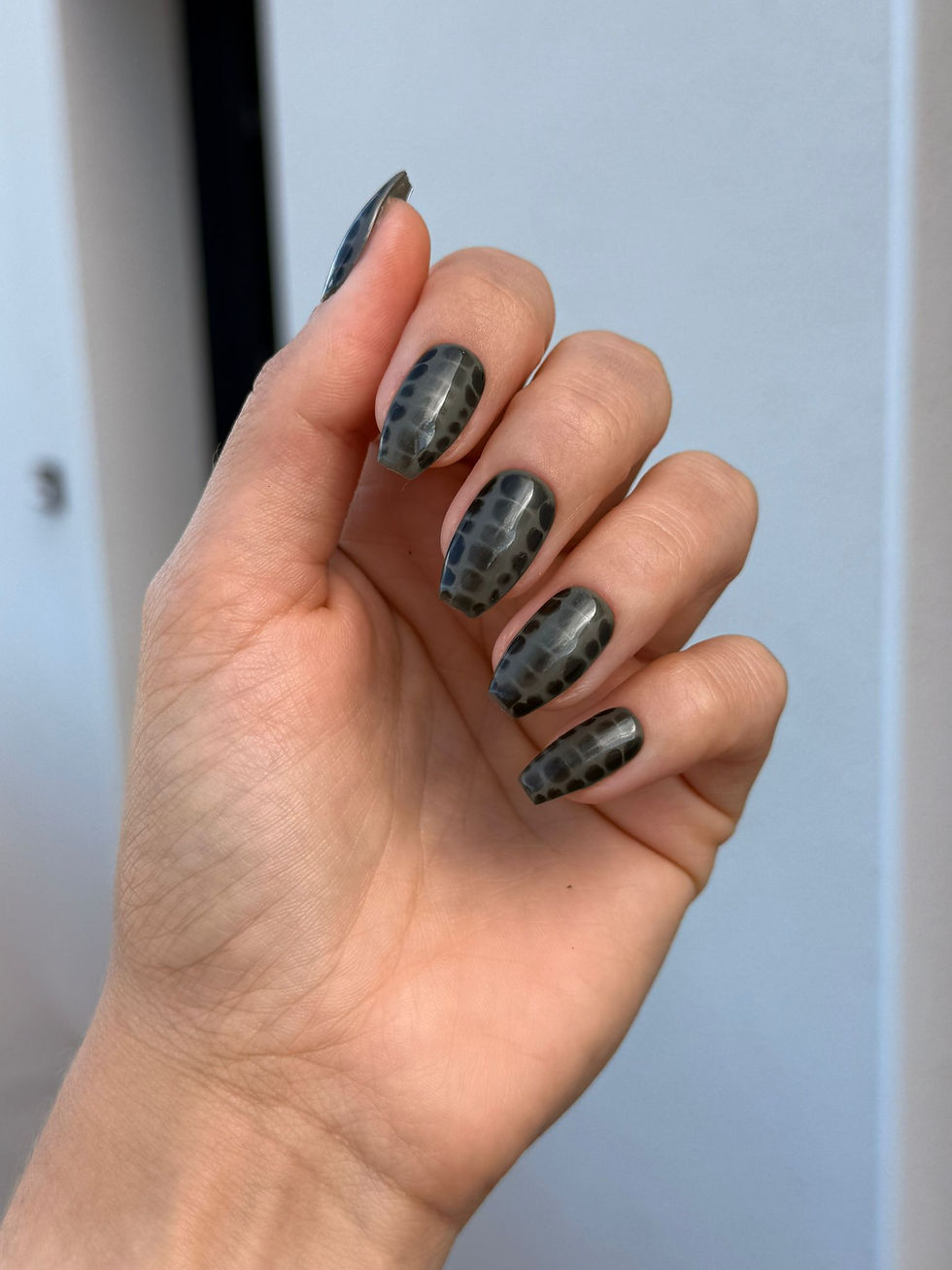 Miniature : Pretty python