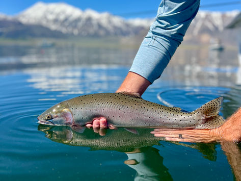 Epic Fly Fishing on Crowley Lake