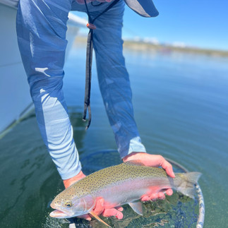 Guided Fly Fishing Crowley Lake