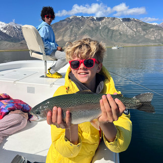 Guided Fly Fishing Crowley Lake