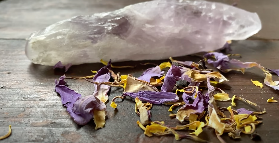 Dried blue lotus on a dark wood board with an amethyst crystal wand