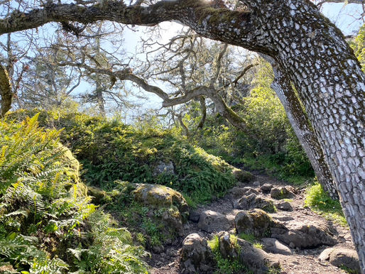 5 Ways to Practice Earth Magic