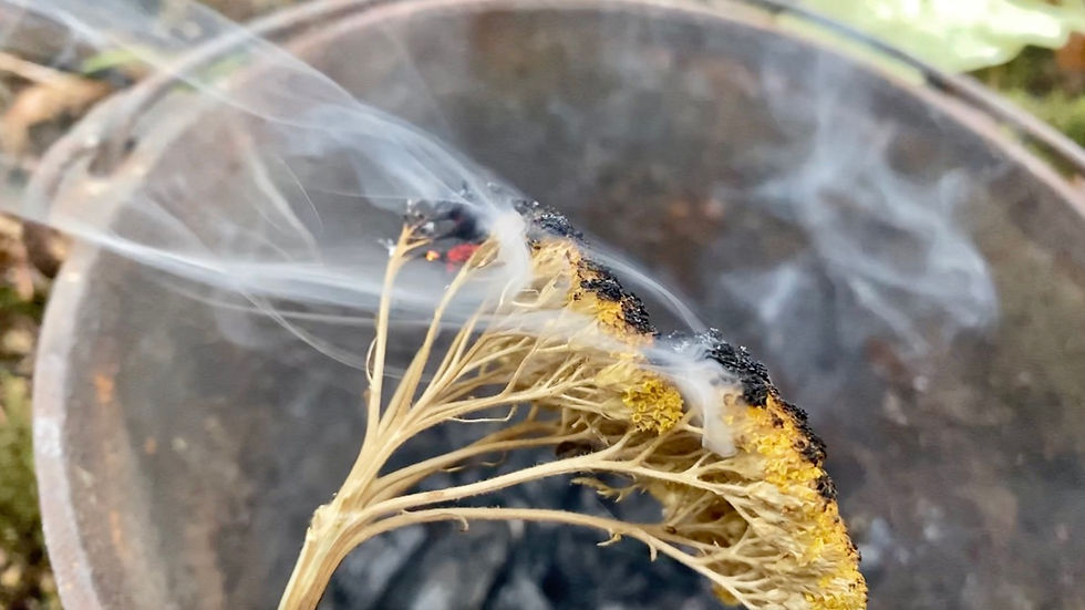yellow yarrow burning in a cast iron cauldron