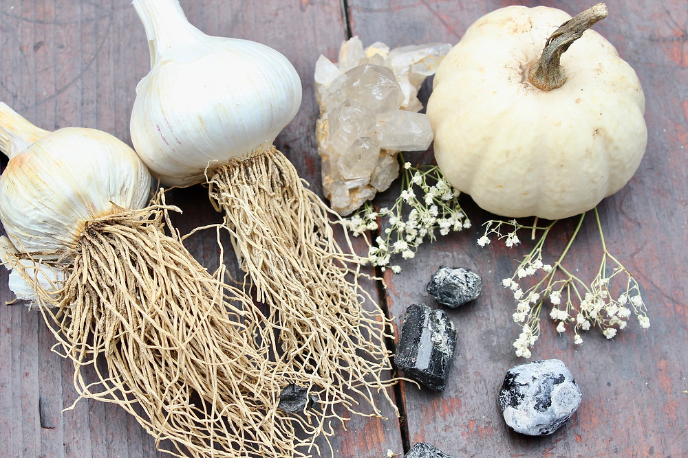 farm grown garlic on display with clear quartz, black tourmaline and a white ghost pumpkin