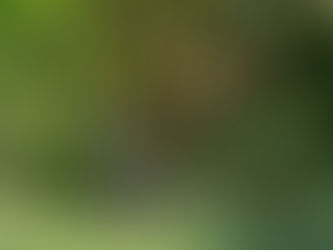 How to Love Spending Time Alone