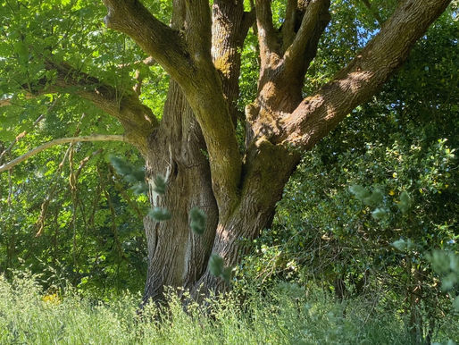 How to Love Spending Time Alone