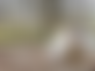 13 Tips for Beginner Witches