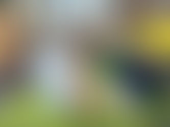 The Witches Familiar