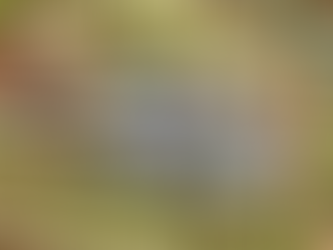 How to Make Witches Torches