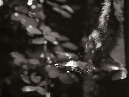 The Ultimate Guide to Shadow Work