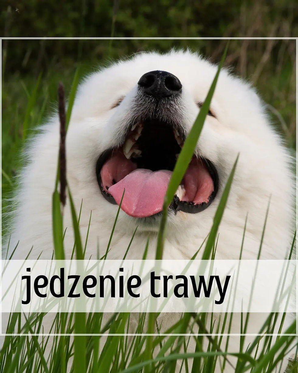 ree