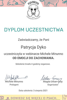 ljln.jpg