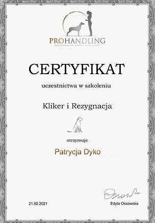koty2tt.jpg