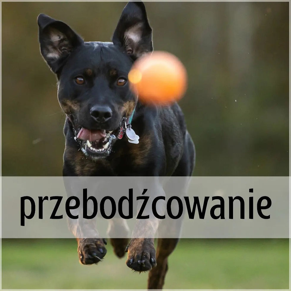 ree