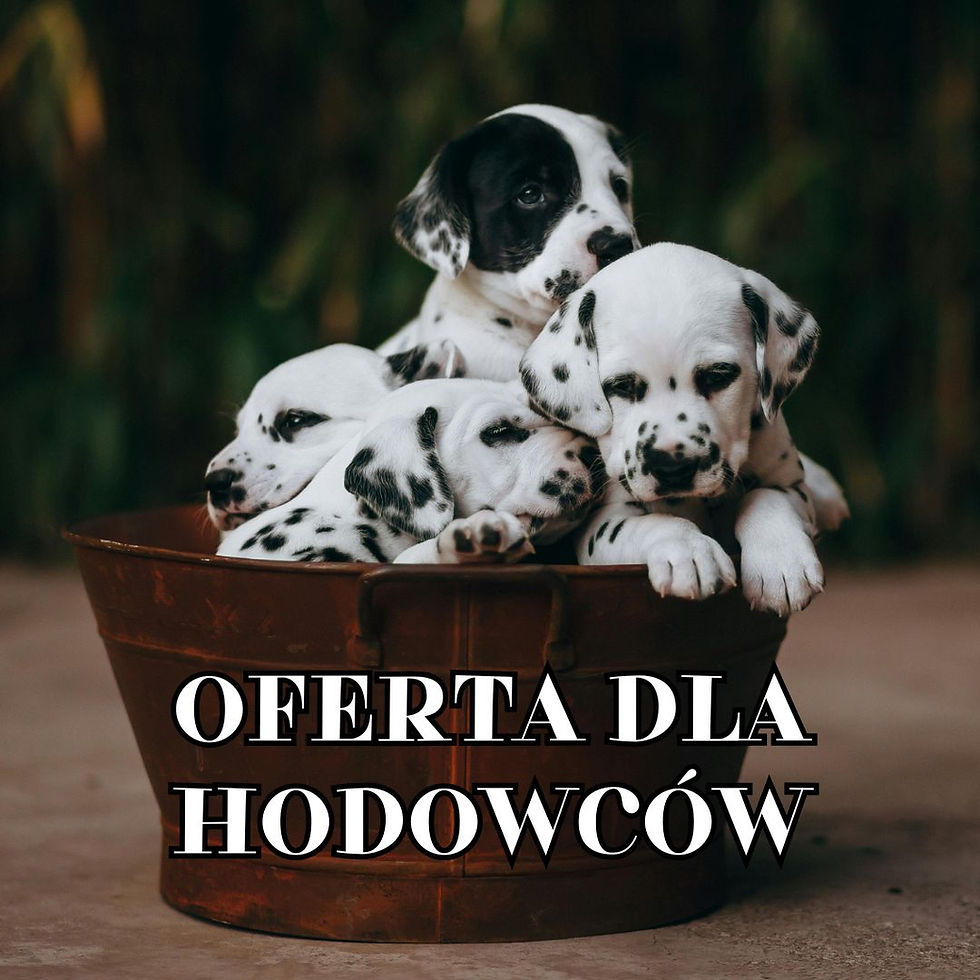 Badanie predyspozycji szczeniąt