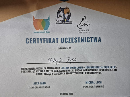 20250722_172218.jpg