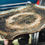 Thumbnail: Antique Italian papier-mâché tray