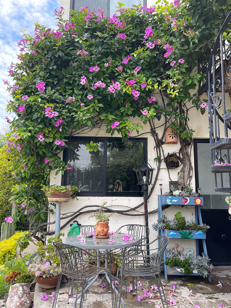 San Miguel Writers Festival: The Setting