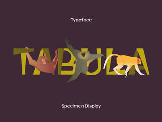 Tabula Typeface Design