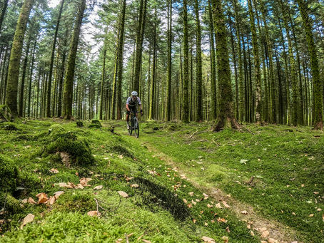 Le Gravel dans le Morvan
