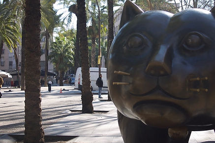 La Barcelonaise - Une journée dans le Raval - El Gat