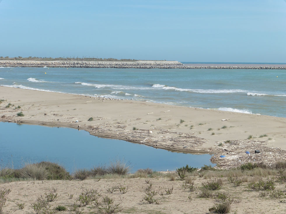 La Barcelonaise - LLobregat