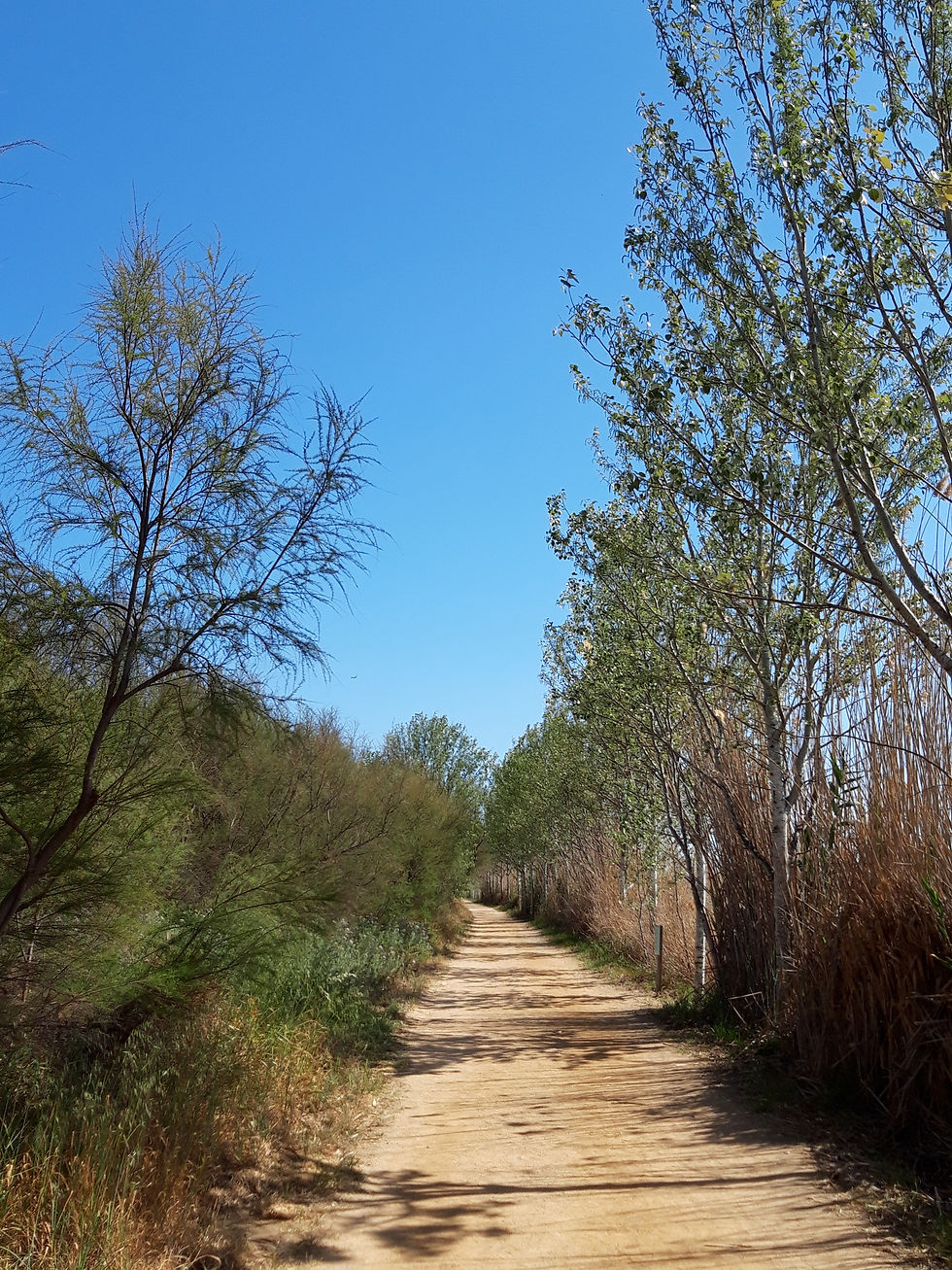 La Barcelonaise - LLobregat