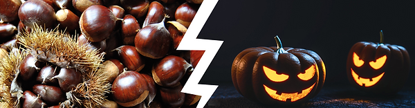 La Barcelonaise - Castanyada vs Halloween